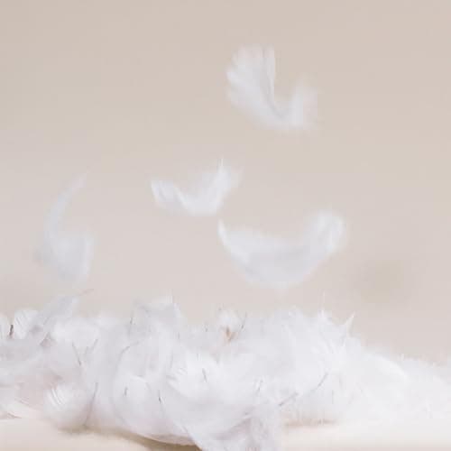 Brooklinen Mid-Plush Down Pillow (Standard) thumbnail 3