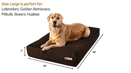 Big Barker Orthopedic Dog Bed thumbnail 2