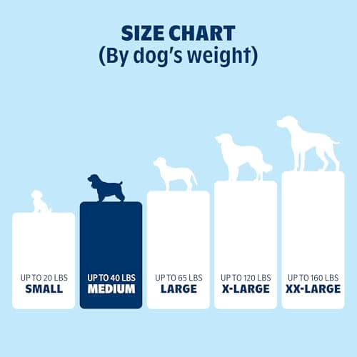 BarkBox Memory Foam Dog Bed thumbnail 4