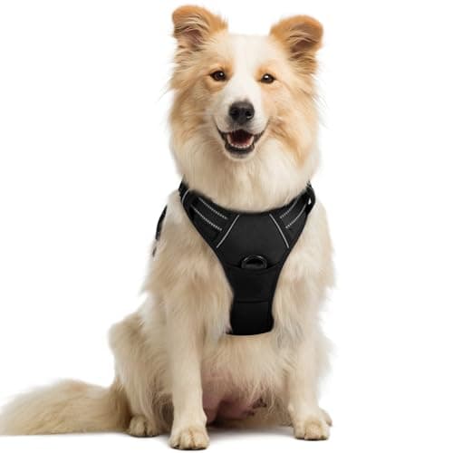 rabbitgoo Dog Harness No Pull with 2 Leash Clips