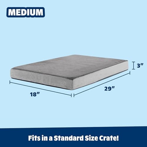 BarkBox Memory Foam Dog Bed thumbnail 3