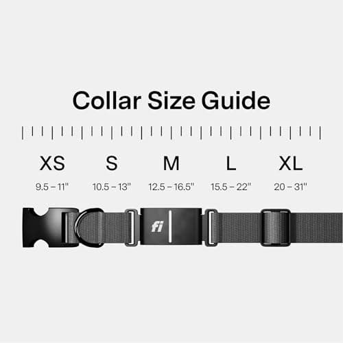 Fi Series 3 Smart GPS Dog Collar thumbnail 5