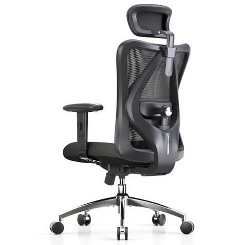 SIHOO M18 Ergonomic Office Chair with Adjustable Headrest and Lumbar Support - image 1