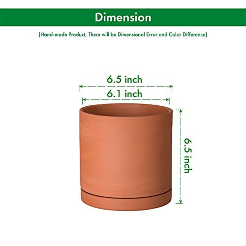 D'vine Dev Terracotta Pots for Plants with Drainage thumbnail 3