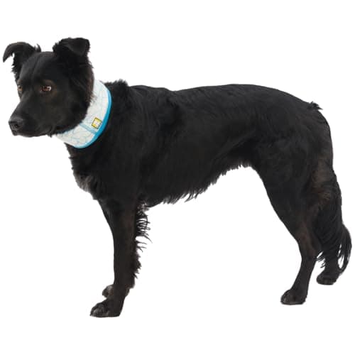 Ruffwear Swamp Cooler Neck Evaporative Cooling Collar thumbnail 3