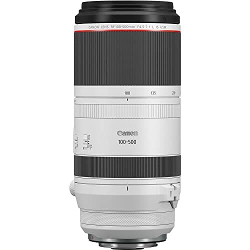 Canon RF 100-500mm f/4.5-7.1 L IS USM thumbnail 2