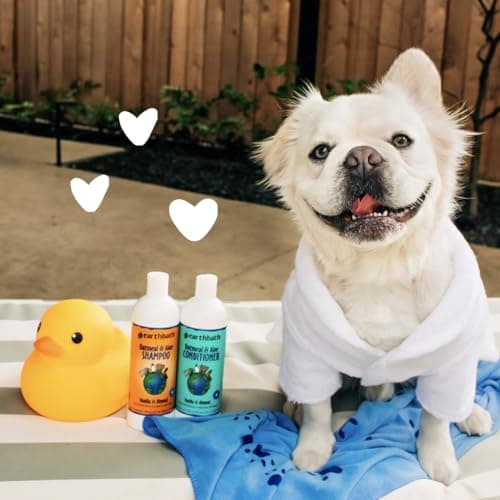 Earthbath Oatmeal & Aloe Dog Shampoo, Vanilla & Almond thumbnail 5