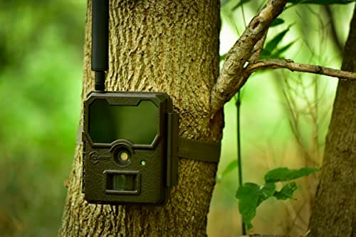 RECONYX HyperFire 2 Covert IR Trail Camera thumbnail 4