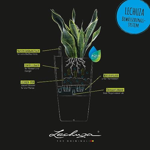 LECHUZA CUBICO Color 40 Self-Watering Planter thumbnail 5