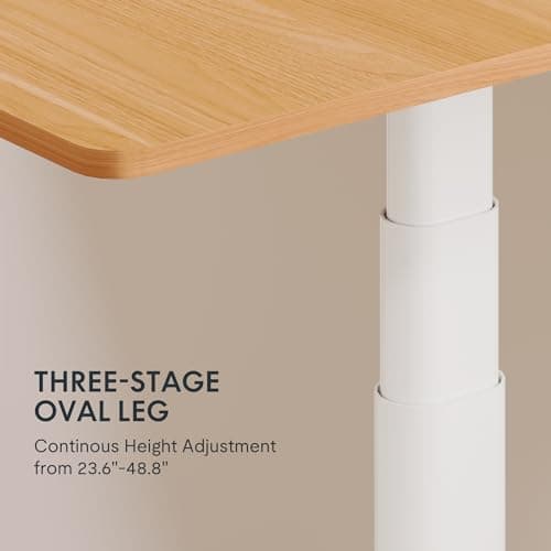 Flexispot E5 Pro Standing Desk thumbnail 3