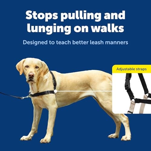 PetSafe Easy Walk No-Pull Dog Harness thumbnail 4