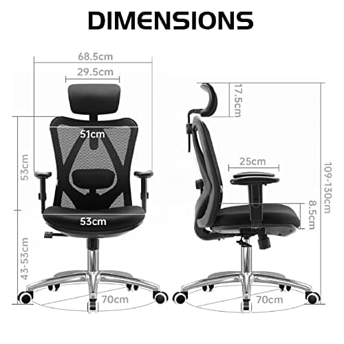 SIHOO M18 Ergonomic Office Chair with Adjustable Headrest and Lumbar Support thumbnail 3