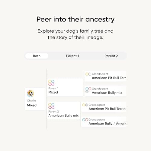 Embark Breed Identification Dog DNA Test Kit thumbnail 4