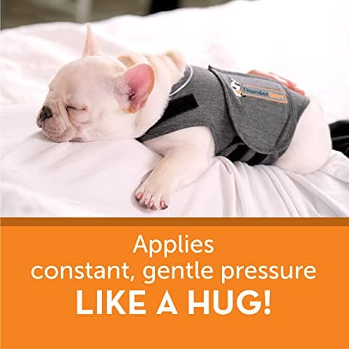 ThunderShirt Classic Dog Anxiety Jacket thumbnail 5