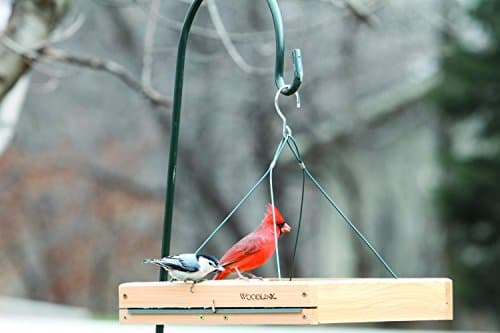 Woodlink 3-in-1 Platform Bird Feeder thumbnail 2