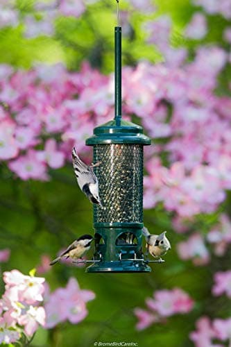 Squirrel Buster Plus Squirrel-Proof Bird Feeder thumbnail 3