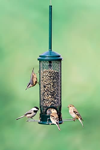 Squirrel Buster Classic Squirrel-Proof Bird Feeder thumbnail 5