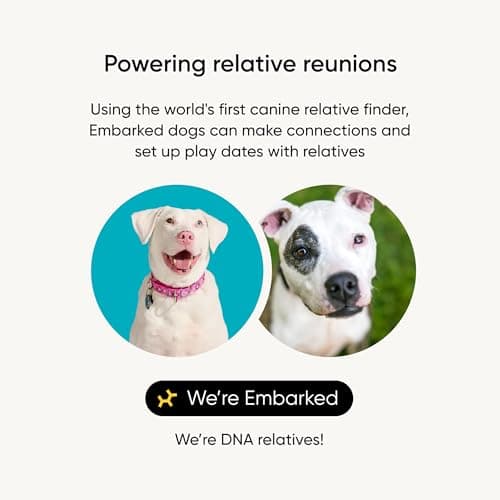 Embark Breed Identification Dog DNA Test Kit thumbnail 3