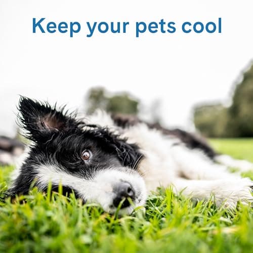 The Green Pet Shop Self-Cooling Pet Pad thumbnail 2