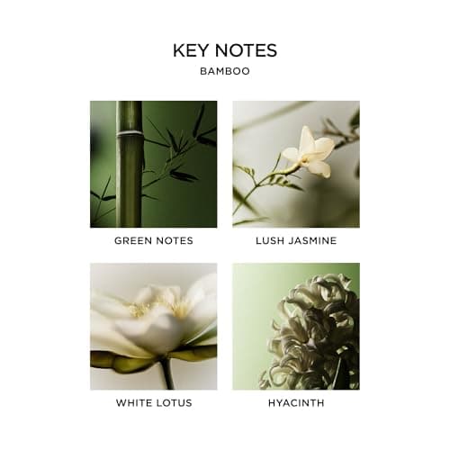 NEST New York Bamboo Classic Candle (8.1 oz) thumbnail 4