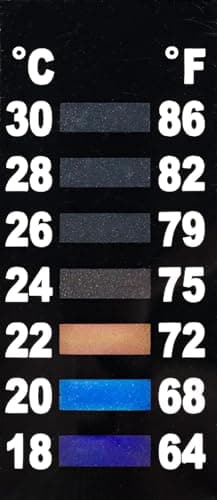 Penn-Plax Water-World Radius Desktop Aquarium Kit 5 Gallon thumbnail 3