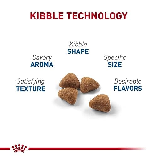 Royal Canin Indoor Adult Dry Cat Food thumbnail 3