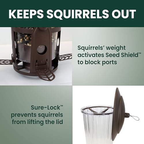 Perky-Pet Squirrel-Be-Gone Max Large Wild Bird Feeder thumbnail 5