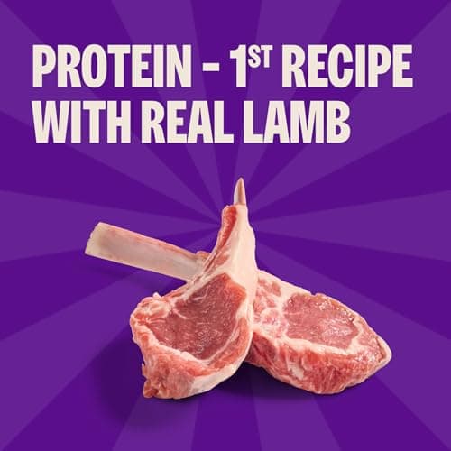 Wellness Soft Puppy Bites, Lamb & Salmon thumbnail 3