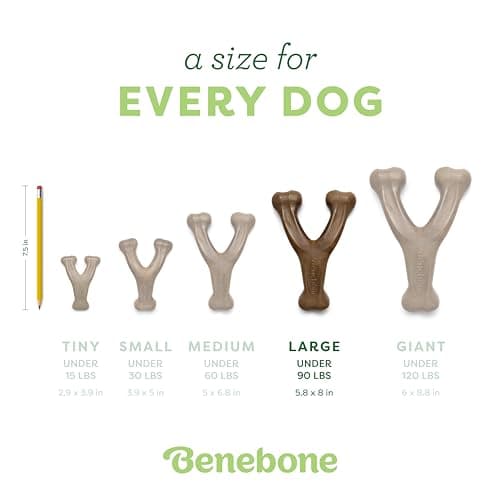 Benebone Wishbone Chew Toy thumbnail 4