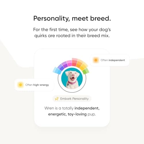 Embark Breed Identification Dog DNA Test Kit thumbnail 5