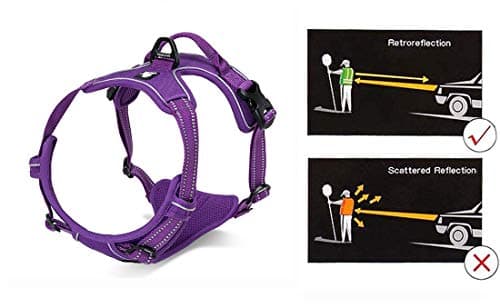 Chai's Choice Best Outdoor Adventure Dog Harness thumbnail 3