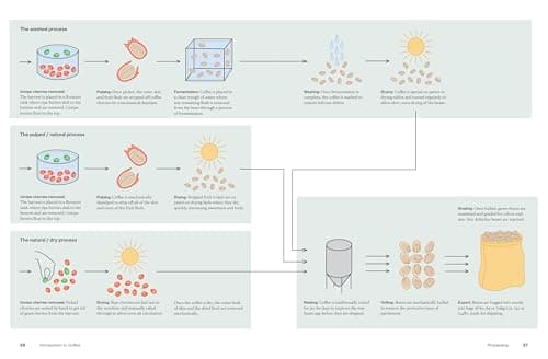 The World Atlas of Coffee (3rd Edition) by James Hoffmann thumbnail 5