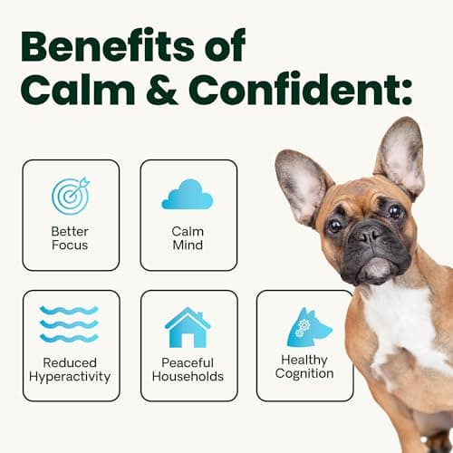 VetriScience Composure Chews for Dogs thumbnail 5