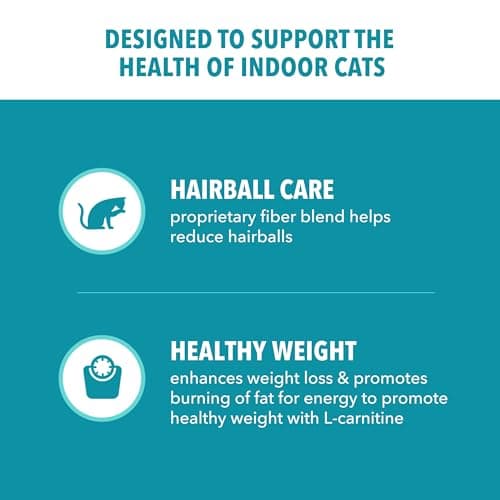 IAMS Proactive Health Indoor Weight & Hairball Care thumbnail 3
