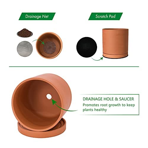 D'vine Dev Terracotta Pots for Plants with Drainage thumbnail 4
