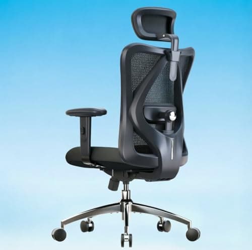 SIHOO M18 Ergonomic Office Chair, Adjustable Headrest & Lumbar Support - image 1