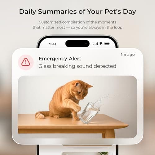 Petcube Cam 360 thumbnail 4