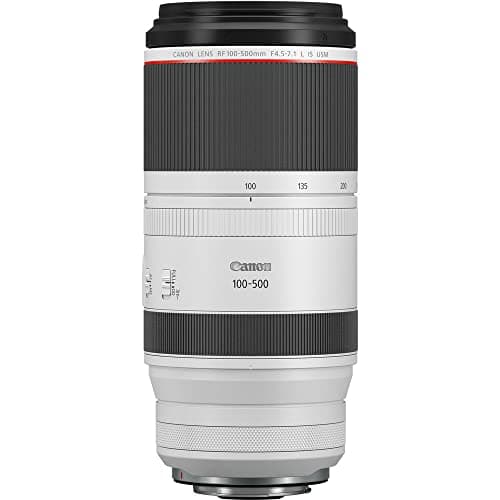Canon RF 100-500mm f/4.5-7.1 L IS USM thumbnail 3