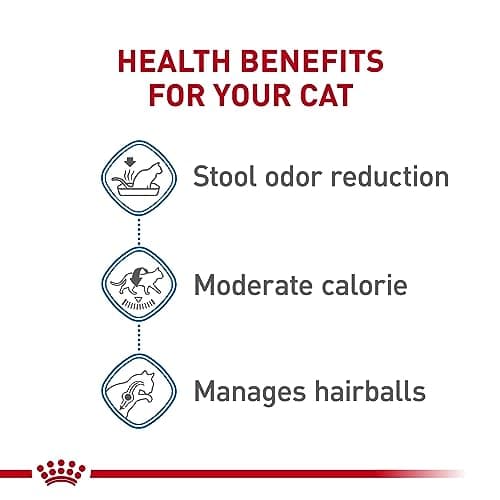 Royal Canin Indoor Adult Dry Cat Food thumbnail 4