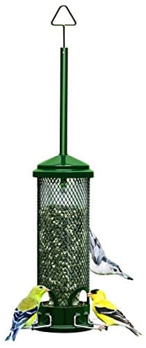 Squirrel Buster Classic Squirrel-Proof Bird Feeder - image 1