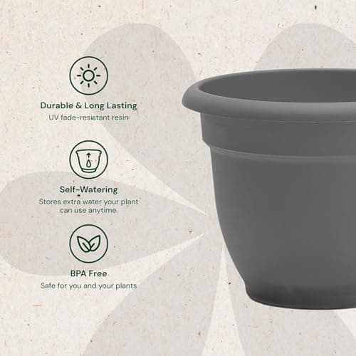 Bloem Ariana Self-Watering Planter thumbnail 4