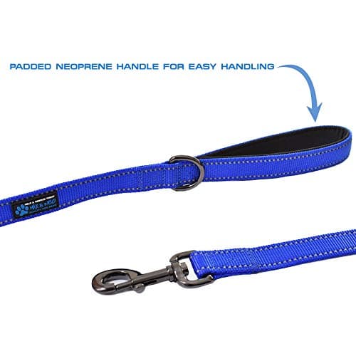 Max and Neo Double Handle Reflective Dog Leash thumbnail 4