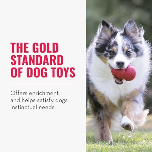 KONG Classic Dog Toy thumbnail 4