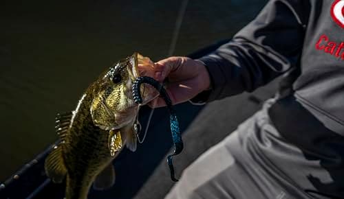 Berkley PowerBait Power Worm thumbnail 3