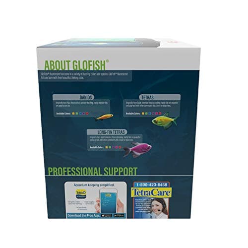 GloFish Crescent Aquarium Kit 5 Gallon thumbnail 5