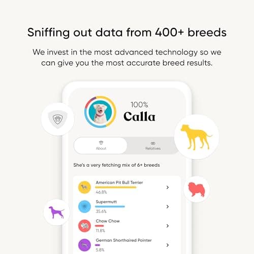 Embark Breed Identification Dog DNA Test Kit thumbnail 2