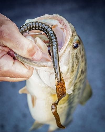 Berkley PowerBait Power Worm thumbnail 2