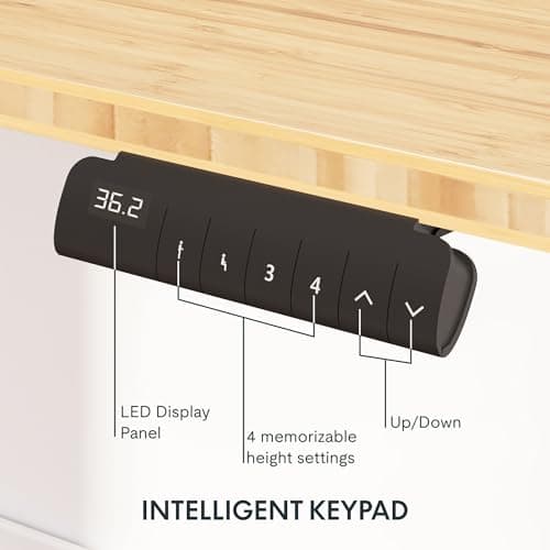 Fully Jarvis Bamboo Standing Desk thumbnail 4