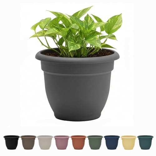 Bloem Ariana Self-Watering Planter - image 1
