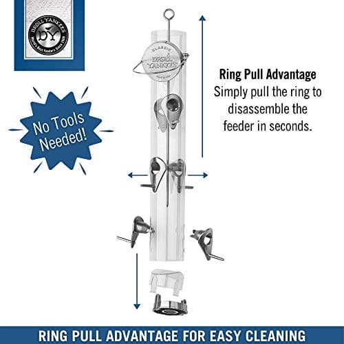 Droll Yankees Classic Sunflower Tube Bird Feeder (20-Inch, 6-Port) thumbnail 3